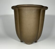 vaso de bonsai yixing