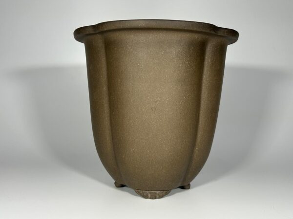 vaso de bonsai yixing