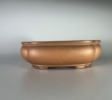 vaso de bonsai yixing