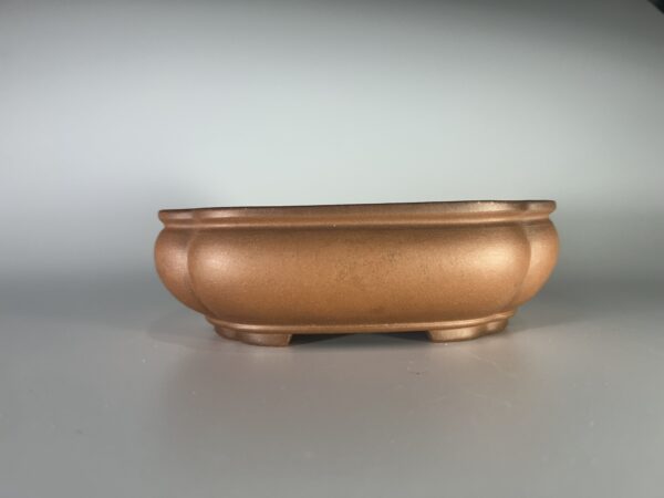 vaso de bonsai yixing