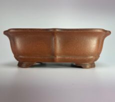 vaso de bonsai yixing