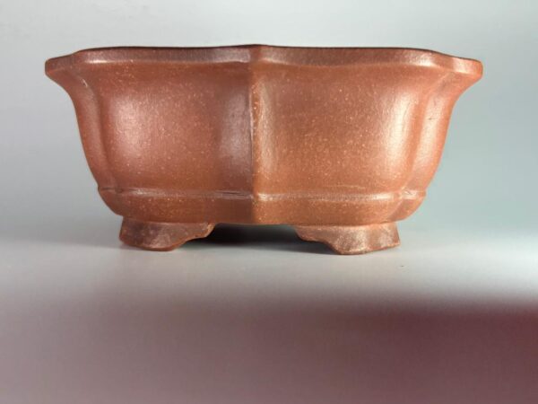 vaso de bonsai yixing
