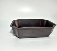 Vaso para Bonsai retangular