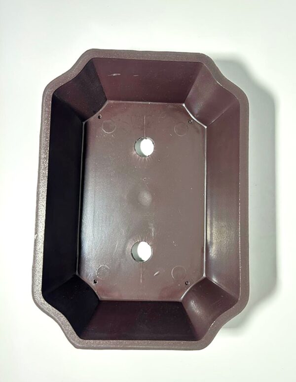 Vaso para Bonsai Oval